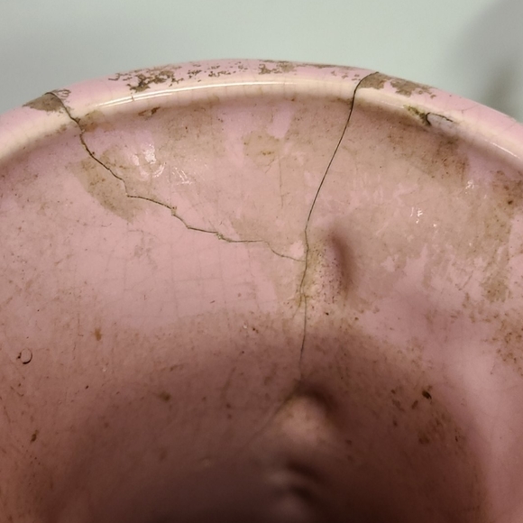 Retro Art Pink Vase Cockatoo Parrot Bird & Dogwoo - Picture 5 of 5